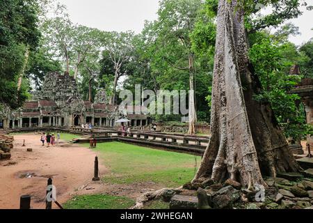 Vista dei giardini esterni del tempio di Ta Phrom, famoso come il tempio delle radici degli alberi nel film Tomb Raider con Angelina Jolie vicino ad Angkor wat, Siem Reap, Cambogia Foto Stock