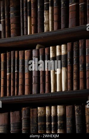 '11.07.2019, Irlanda, Contea di Dublino, Dublino - Bookcases, The Long Room (1732), Old Library of Trinity College 1592. 00A190711D285CAROEX.JPG [RIL. MODELLO Foto Stock