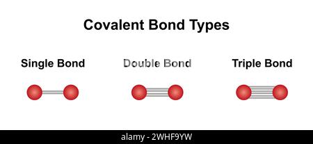 Tipi di legame covalente, illustrazione Foto Stock