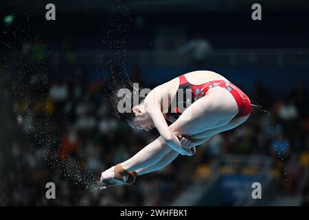 Doha. 9 febbraio 2024. Chang Yani della Cina gareggia durante la finale femminile di trampolino 3m dei Campionati mondiali di nuoto 2024 a Doha, in Qatar, il 9 febbraio 2024. Crediti: Xue Yuge/Xinhua/Alamy Live News Foto Stock