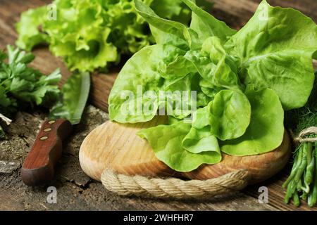 Materie organiche verde lattuga burro pronto per Tritare sul tagliere con coltello Foto Stock