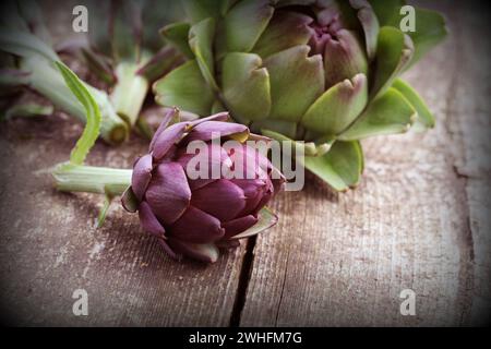 Carciofi viola su fondo rustico in legno Foto Stock