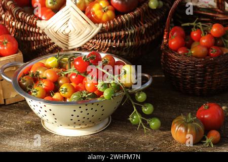 Varietà di pomodori cimellati in cesti su tavola rustica. Pomodoro colorato - rosso, giallo, arancione. Raccogliere il concetto di cottura delle verdure Foto Stock