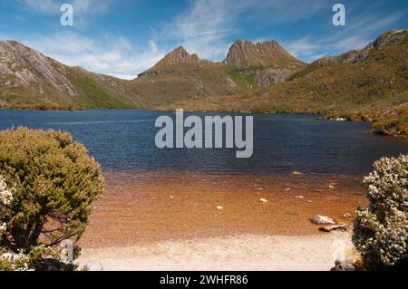 Cradle Mountain con vista sul Lago dove, Tasmania, Australia Foto Stock