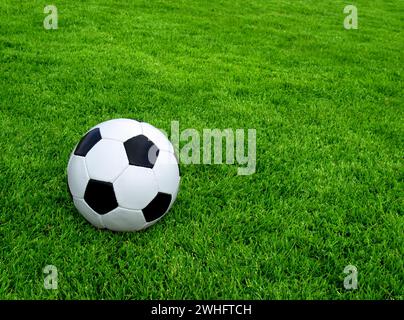 Classico Pallone da calcio in erba verde Foto Stock