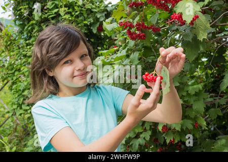 Adolescente e bacche di viburnum sui rami del giardino Foto Stock