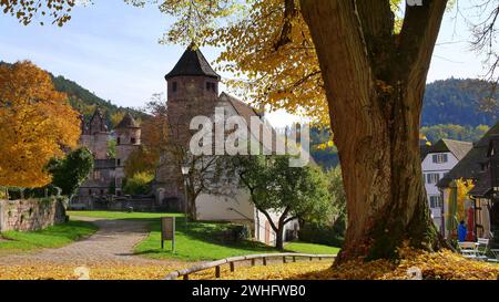 Ex monastero, Calw-Hirsau, foresta nera Foto Stock