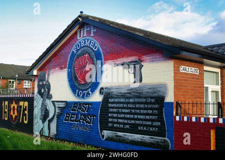 Murales poltici a Belfast, Irlanda del Nord (murales) Foto Stock