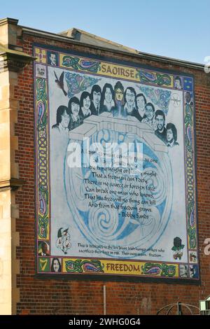 Murales poltici a Belfast, Irlanda del Nord (murales) Foto Stock