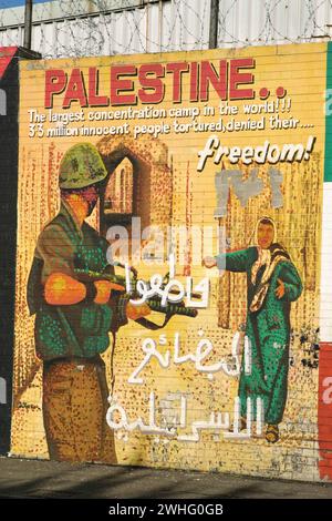 Murales poltici a Belfast, Irlanda del Nord (murales) Foto Stock