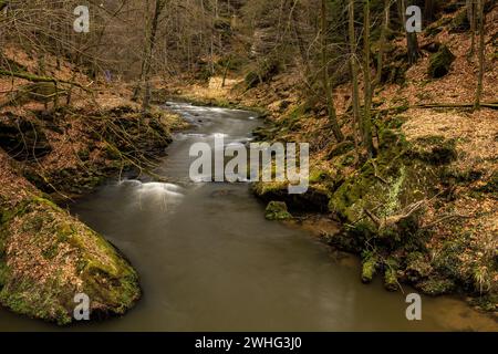 Fiume Kamnitz nella Gola di Kamenice in Boemia Foto Stock