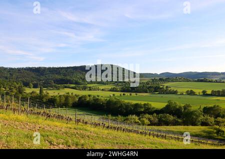 Paesaggio a Hohenlohe vicino Michelbach am Wald, Baden-WÃ¼rttemberg, Germania, Europa Foto Stock