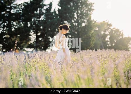 La sposa con un abito bianco si trova in un campo di lavanda con la testa rivolta verso il basso. Vista laterale Foto Stock