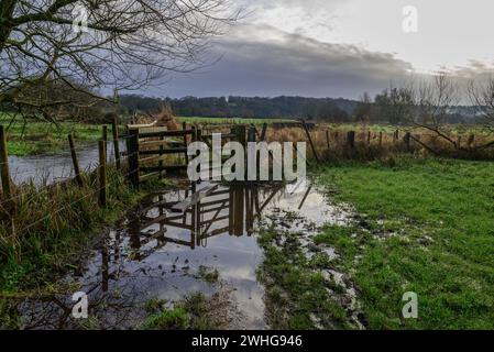 Avon Valley, Fordingbridge, Hampshire, Regno Unito, 10 febbraio 2024, condizioni meteorologiche: le inondazioni ritornano in campagna dopo due giorni di pioggia intensa. Le temperature rimangono al di sopra della media per il periodo dell'anno. Paul Biggins/Alamy Live News Foto Stock