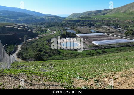 Ammira le alture del Golan e il confine tra Israele, Siria e Giordania Foto Stock