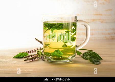 Foglie fresche di menta piperita preparate come un sano tè alle erbe in una tazza di vetro, alcuni steli fioriti su un tavolo di legno chiaro, spazio copia, s Foto Stock