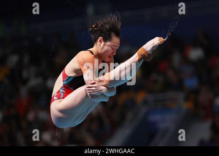 Doha, Qatar. 9 febbraio 2024. Yani Chang (CHN) Diving : World Aquatics Championships Doha 2024 Women's 3m Springboard Final at Hamad Aquatic Centre a Doha, Qatar . Crediti: Naoki Morita/AFLO SPORT/Alamy Live News Foto Stock