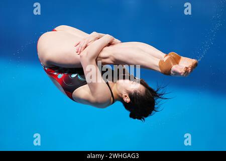 Doha, Qatar. 9 febbraio 2024. Yani Chang (CHN) Diving : World Aquatics Championships Doha 2024 Women's 3m Springboard Final at Hamad Aquatic Centre a Doha, Qatar . Crediti: Naoki Morita/AFLO SPORT/Alamy Live News Foto Stock