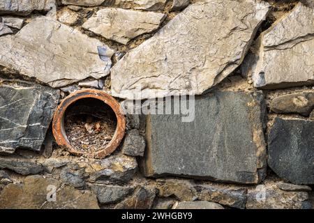 Vecchio tubo di scarico nella parete in gomma Foto Stock
