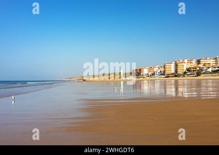 Spiaggia sabbiosa a Matalascanas Foto Stock