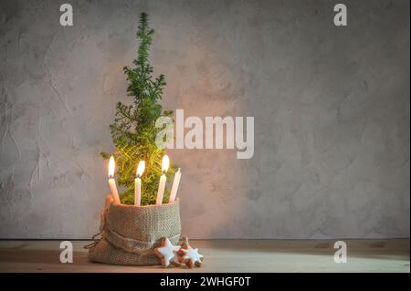 Seconda corona dell'Avvento alternativa, tre candele accese con una fiamma su una piccola pianta di conifere come simbolo dell'albero di Natale, copia grande sp Foto Stock