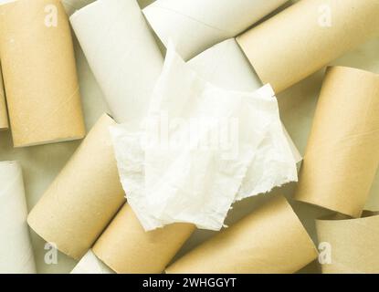 Due pezzi di carta igienica sullo sfondo di rotoli vuoti di carta igienica, vista dall'alto. Foto Stock