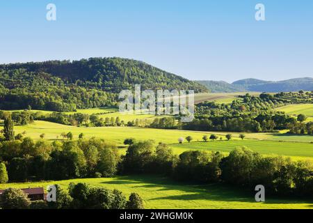 Paesaggio a Hohenlohe vicino Michelbach am Wald, Baden-WÃ¼rttemberg, Germania, Europa Foto Stock