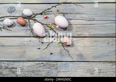 Uova di Pasqua di colore naturale e un ramo con pochi fiori su uno sfondo rustico in legno grigio, spazio copia, vista alto angelo da a. Foto Stock