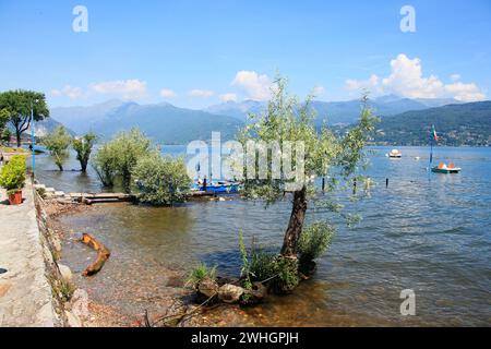 L'Isola dei pescatori sul Lago maggiore, Italia Foto Stock