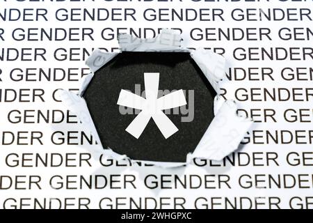 Gendern mit Gendersternchen als Symbol für gendergerechte Sprache Kommunikation Konzept Stuttgart, Deutschland - 23. Gennaio 2024: Gendern mit Gendersternchen als Symbol für gendergerechte Sprache Kommunikation Konzept a Stoccarda, Germania. *** Gendern mit Gendersternchen als Symbol für gendergerechte Sprache Kommunikation Konzept Stuttgart, Germania 23 gennaio 2024 Gendern mit Gendersternchen als Symbol für gendergerechte Sprache Kommunikation Konzept a Stoccarda, Germania Foto Stock