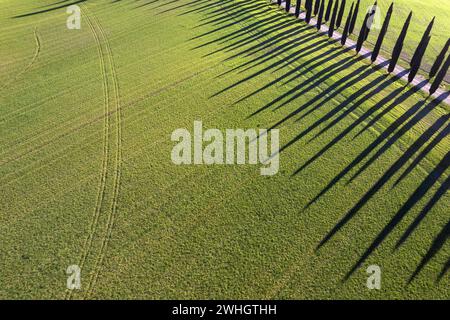 Documentazione fotografica aerea dei cipressi della Val di Orcia Foto Stock