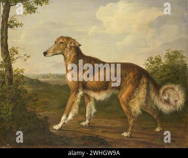 Siberian Greyhound, Jan Dasveldt, c. 1825 Foto Stock