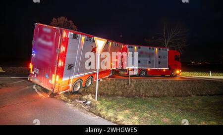 Leisnig - Laster mit Rindern beladen kippt auf Autobahnzubringer in den Straßengraben 06.02.2024 gegen 16 Uhr Leisnig, S34 am Abzweig Beiersdorf genauer Standort: https://maps.app.goo.gl/jtYuWqMYntwXqPcM8 Zu einem Unfall kam es am Dienstagnachmittag gegen 16 Uhr zu einem Unfall von einem Lastwagen Kühen mit beladen. Nach ersten Angaben der Polizei wollte der LKW-Fahrer am Nachmittag aus dem Leisniger Ortsteil Beiersdorf kommend nach rechts auf die S34 a Richtung Leisnig abbiegen. Dabei rutschte der Anhänger des Lastwagens, der mit lebenden Rindern beladen War, leicht in den Graben der Straße. Foto Stock