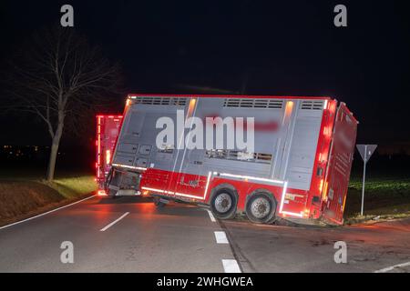 Leisnig - Laster mit Rindern beladen kippt auf Autobahnzubringer in den Straßengraben 06.02.2024 gegen 16 Uhr Leisnig, S34 am Abzweig Beiersdorf genauer Standort: https://maps.app.goo.gl/jtYuWqMYntwXqPcM8 Zu einem Unfall kam es am Dienstagnachmittag gegen 16 Uhr zu einem Unfall von einem Lastwagen Kühen mit beladen. Nach ersten Angaben der Polizei wollte der LKW-Fahrer am Nachmittag aus dem Leisniger Ortsteil Beiersdorf kommend nach rechts auf die S34 a Richtung Leisnig abbiegen. Dabei rutschte der Anhänger des Lastwagens, der mit lebenden Rindern beladen War, leicht in den Graben der Straße. Foto Stock