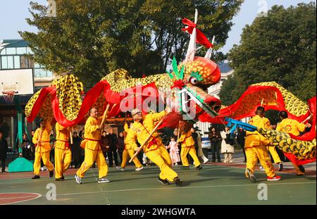 Pechino, la provincia cinese dello Zhejiang. 10 febbraio 2024. La gente esegue una danza del drago nella città di Taizhou, nella provincia di Zhejiang della Cina orientale, 10 febbraio 2024. Il Festival di primavera si terrà il 10 febbraio di quest'anno. Crediti: Jiang Youqing/Xinhua/Alamy Live News Foto Stock