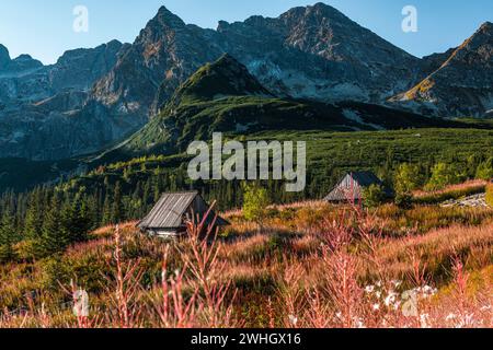 Paesaggio naturale nei Carpazi. Prati su Hala Gasienicowa in Polonia Foto Stock