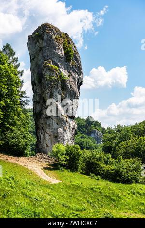 Hercules Mace, formazione rocciosa naturale nel Parco Nazionale di Ojcowski vicino a Cracovia, Polonia Foto Stock