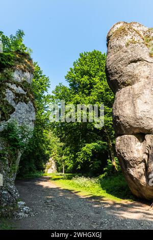 Cracow Gate Rock Formation nel Parco Nazionale di Ojcowski in Polonia Foto Stock