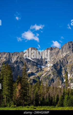 Tatra Mountains National Park in estate. Polonia, vicino a Zakopane Foto Stock