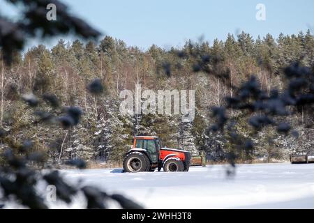 Trattore rosso in inverno sulla neve con foresta sullo sfondo Foto Stock
