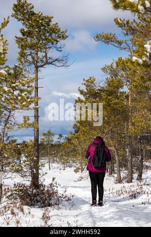 Percorso naturalistico in inverno tra alberi e sagoma umana Foto Stock