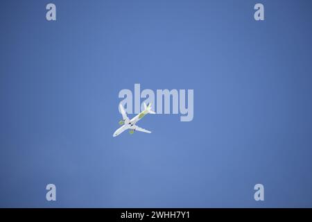 silhouette dello stemma nel cielo blu Foto Stock