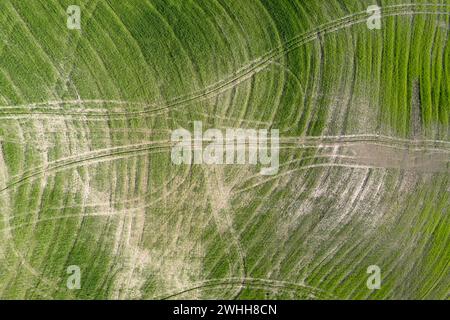 Disegni lasciati dopo aver lavorato la terra in Toscana Italia Foto Stock