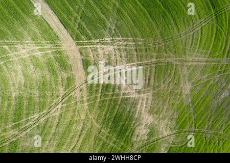 Disegni lasciati dopo aver lavorato la terra in Toscana Italia Foto Stock