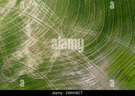 Disegni lasciati dopo aver lavorato la terra in Toscana Italia Foto Stock