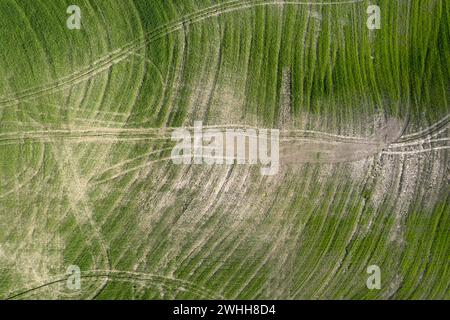 Disegni lasciati dopo aver lavorato la terra in Toscana Italia Foto Stock