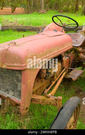 Old Tractor, Dorris Ranch Living History Filbert Farm County Park, Lane County, Oregon Foto Stock