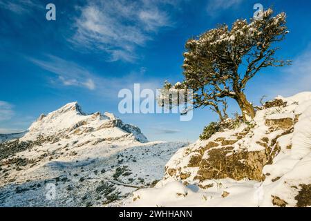 Macizo del Puig Major1436 Foto Stock