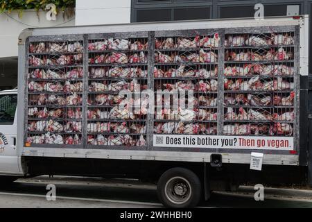 Miami, Stati Uniti. 9 febbraio 2024. Atmosfera di strada durante la campagna di marketing "Hell on Wheels" di PETA Guerilla al Mary Brickell Village nel centro di Miami l'8 febbraio 2024, a Miami, Florida. (Foto di Michele Eve Sandberg/Sipa USA) credito: SIPA USA/Alamy Live News Foto Stock