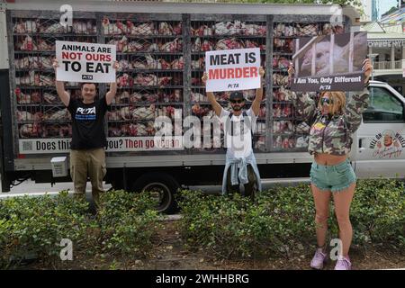 Miami, Stati Uniti. 9 febbraio 2024. Atmosfera di strada durante la campagna di marketing "Hell on Wheels" di PETA Guerilla al Mary Brickell Village nel centro di Miami l'8 febbraio 2024, a Miami, Florida. (Foto di Michele Eve Sandberg/Sipa USA) credito: SIPA USA/Alamy Live News Foto Stock